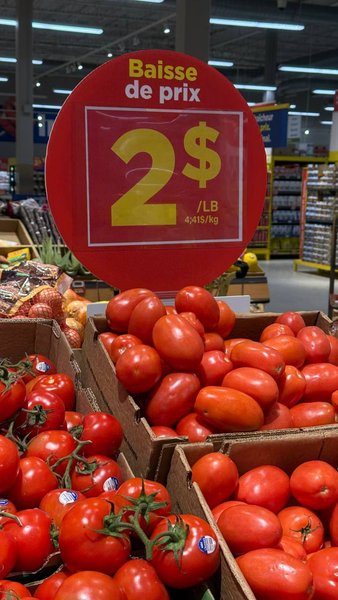 помідори, ціни в Канаді, магазин